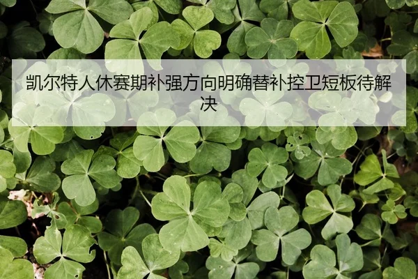 凯尔特人休赛期补强方向明确替补控卫短板待解决