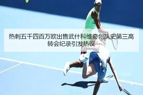 热刺五千四百万欧出售武什科维奇创队史第三高转会纪录引发热议