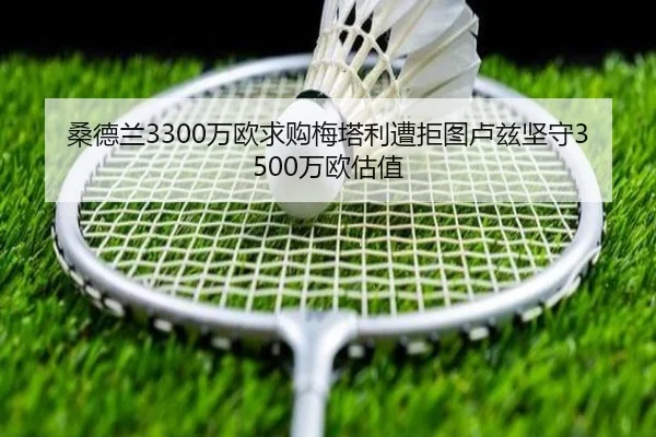 桑德兰3300万欧求购梅塔利遭拒图卢兹坚守3500万欧估值